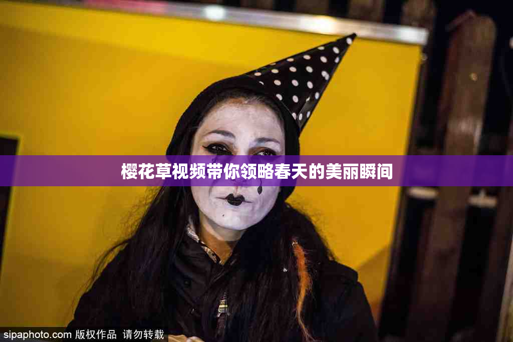 樱花草视频带你领略春天的美丽瞬间