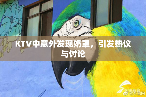 KTV中意外发现奶罩，引发热议与讨论