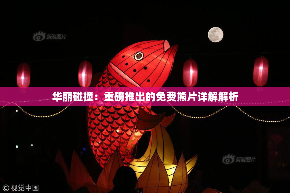 华丽碰撞：重磅推出的免费熊片详解解析