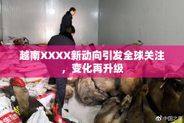 越南XXXX新动向引发全球关注，变化再升级