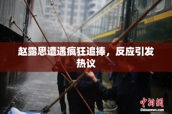 赵露思遭遇疯狂追捧，反应引发热议