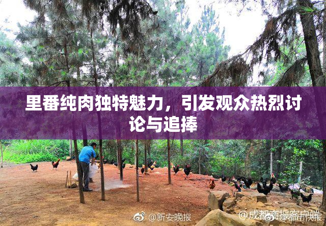 里番纯肉独特魅力，引发观众热烈讨论与追捧