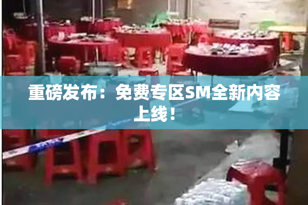 重磅发布：免费专区SM全新内容上线！