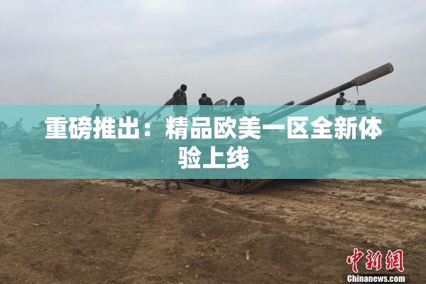 重磅推出：精品欧美一区全新体验上线