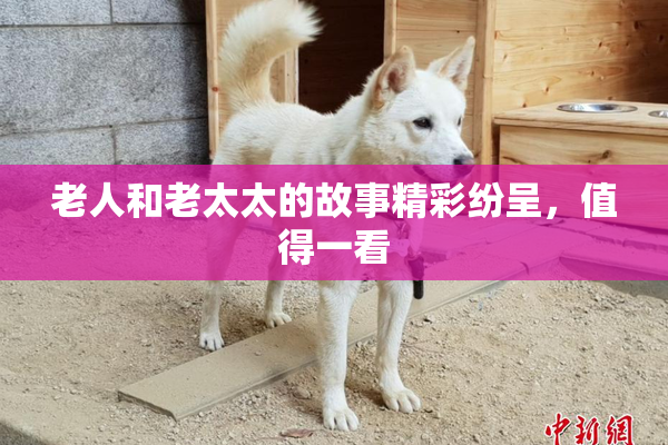 老人和老太太的故事精彩纷呈，值得一看