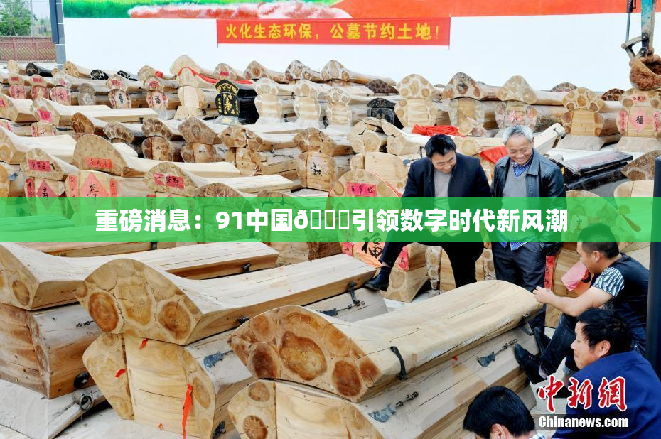 重磅消息：91中国🍆引领数字时代新风潮