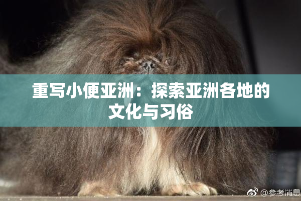 重写小便亚洲：探索亚洲各地的文化与习俗