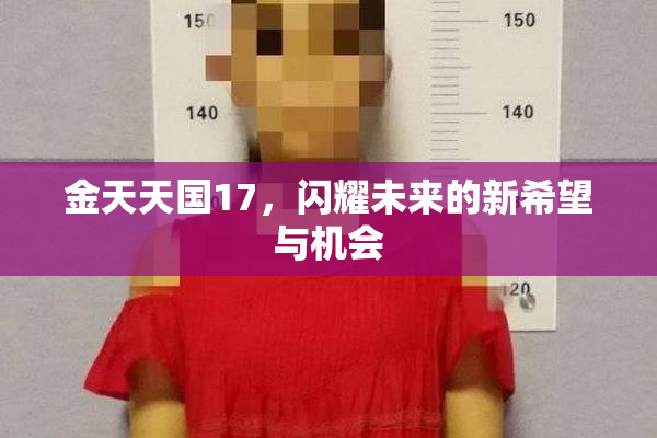 金天天国17，闪耀未来的新希望与机会