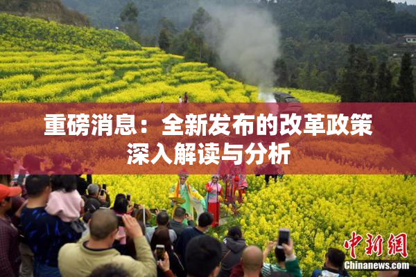 重磅消息：全新发布的改革政策深入解读与分析
