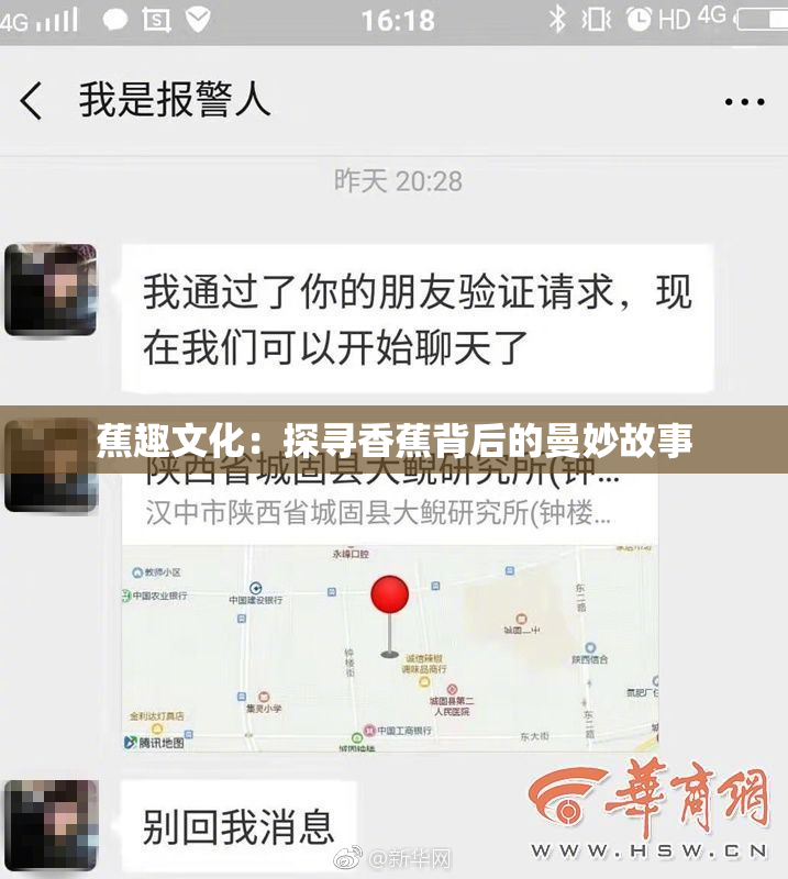 蕉趣文化：探寻香蕉背后的曼妙故事