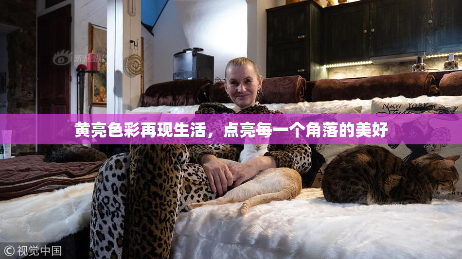 黄亮色彩再现生活，点亮每一个角落的美好