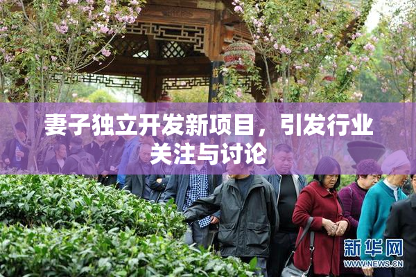 妻子独立开发新项目，引发行业关注与讨论