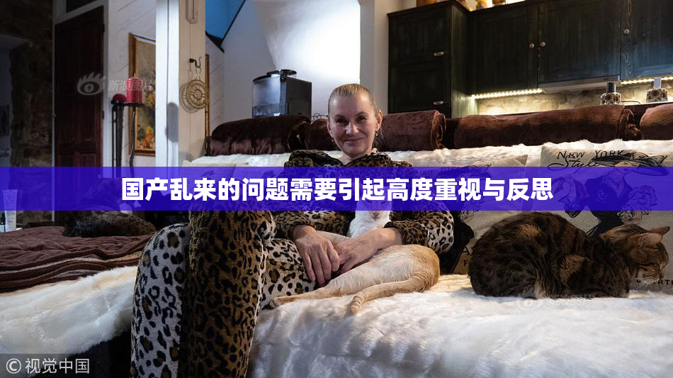 国产乱来的问题需要引起高度重视与反思