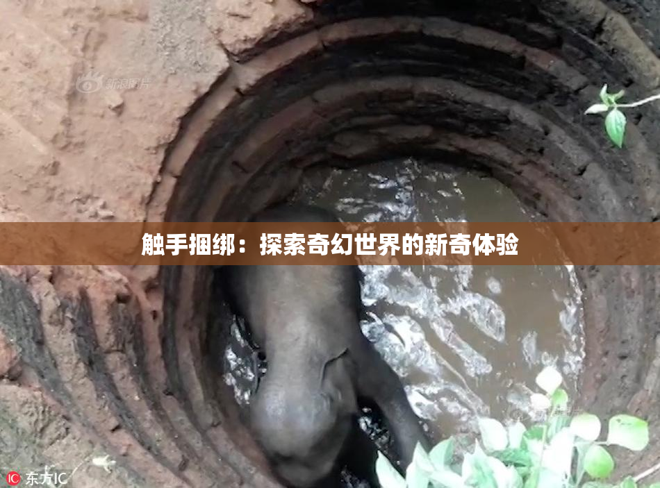 触手捆绑：探索奇幻世界的新奇体验