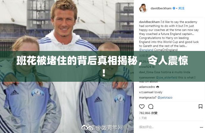 班花被堵住的背后真相揭秘，令人震惊！