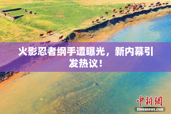 火影忍者纲手遭曝光，新内幕引发热议！