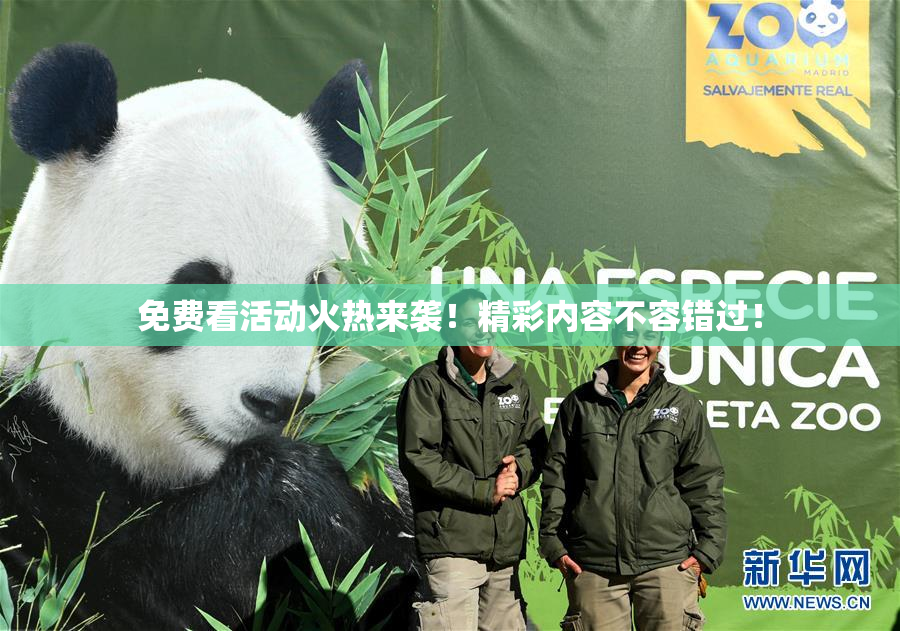 免费看活动火热来袭！精彩内容不容错过！