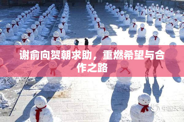 谢俞向贺朝求助，重燃希望与合作之路
