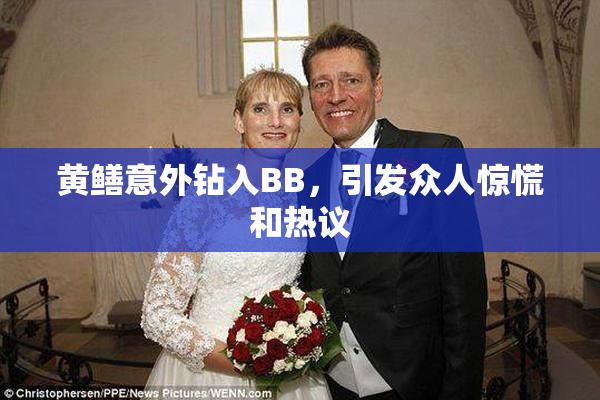 黄鳝意外钻入BB，引发众人惊慌和热议