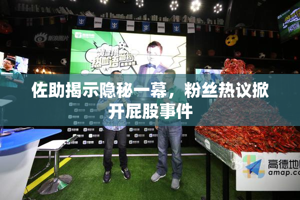 佐助揭示隐秘一幕，粉丝热议掀开屁股事件