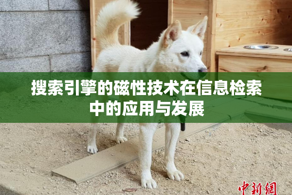 搜索引擎的磁性技术在信息检索中的应用与发展