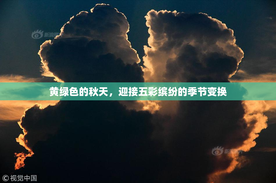 黄绿色的秋天，迎接五彩缤纷的季节变换