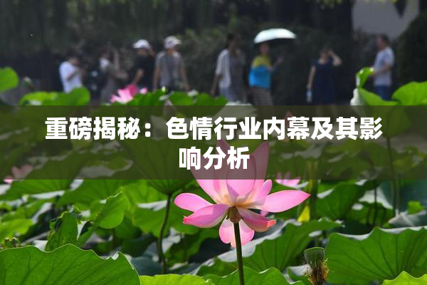 重磅揭秘：色情行业内幕及其影响分析