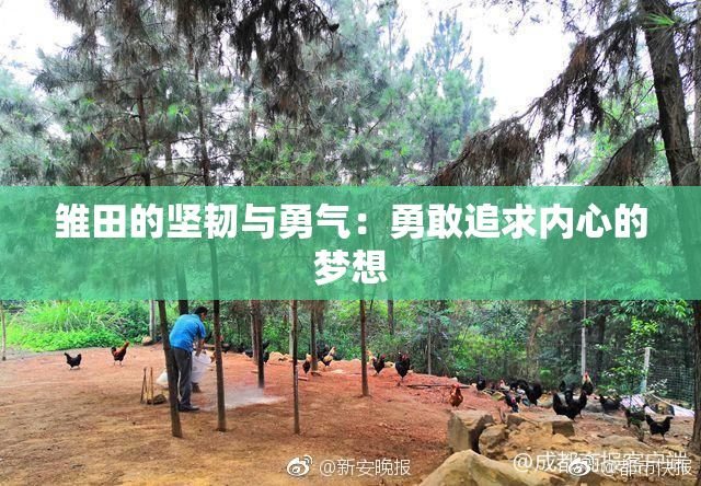 雏田的坚韧与勇气：勇敢追求内心的梦想