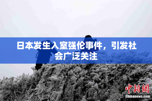 日本发生入室强伦事件，引发社会广泛关注