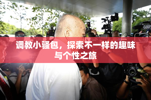 调教小骚包，探索不一样的趣味与个性之旅