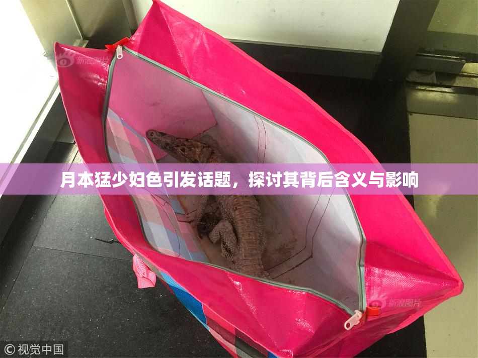 月本猛少妇色引发话题，探讨其背后含义与影响