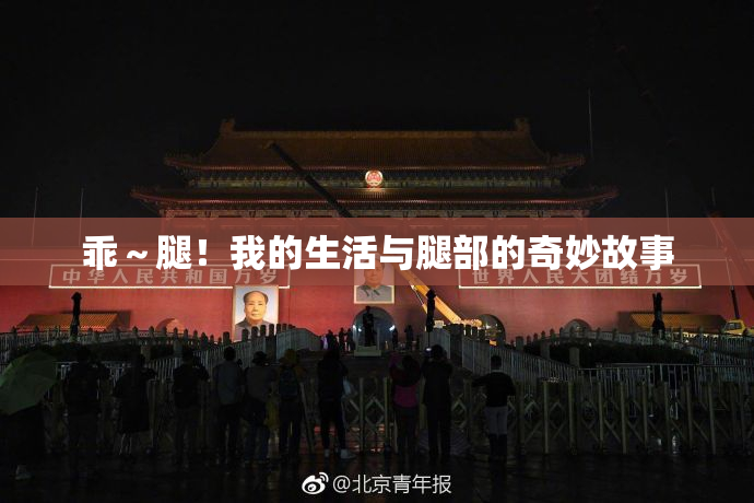 乖～腿！我的生活与腿部的奇妙故事