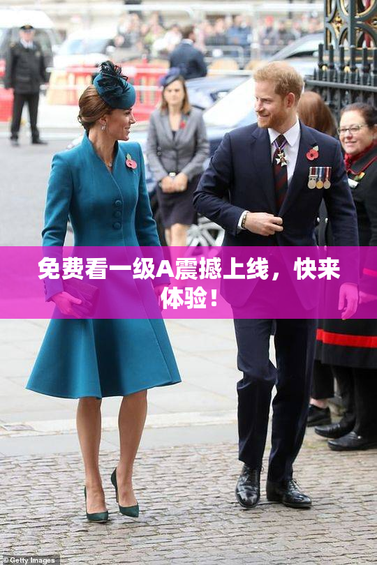 免费看一级A震撼上线，快来体验！