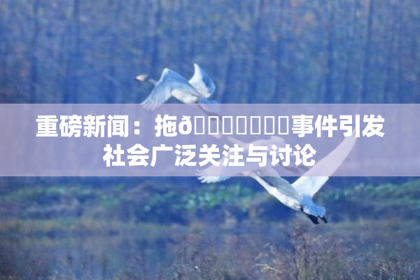 重磅新闻：拖👙❌‌❌‌事件引发社会广泛关注与讨论