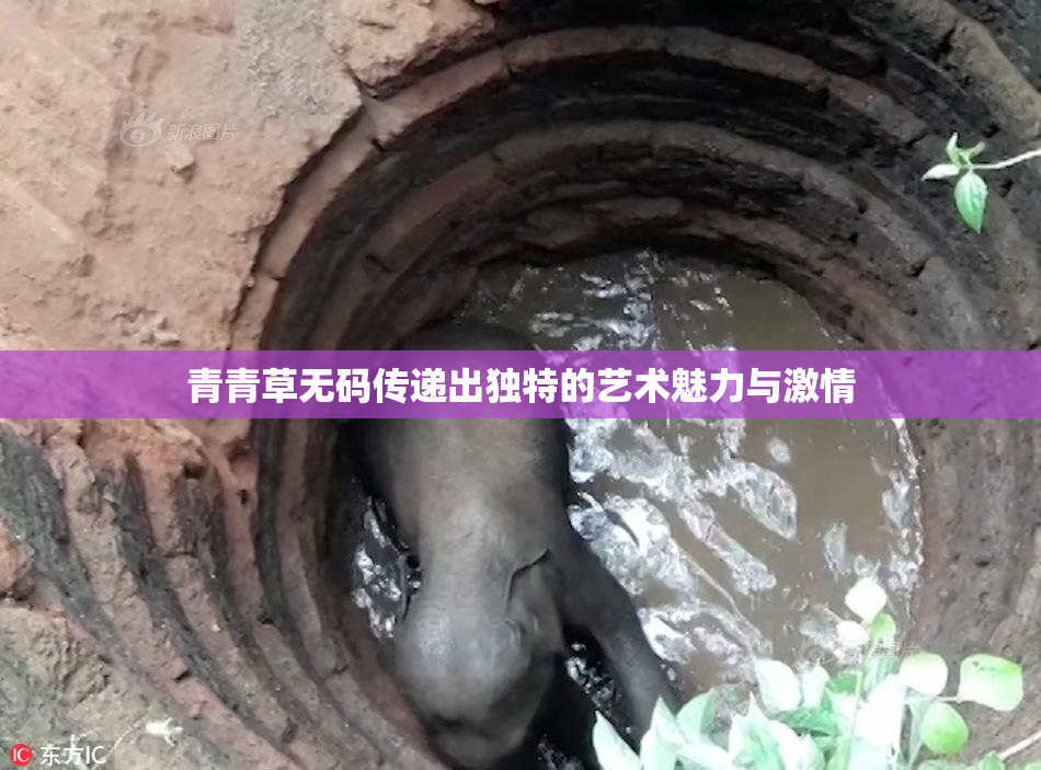 青青草无码传递出独特的艺术魅力与激情