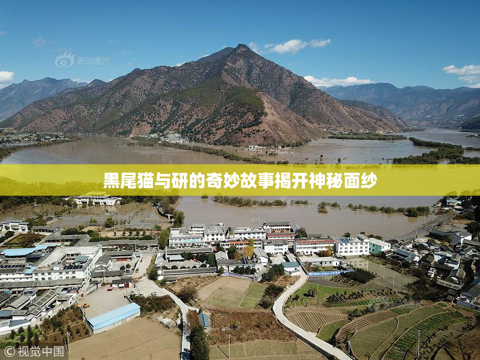 黑尾猫与研的奇妙故事揭开神秘面纱
