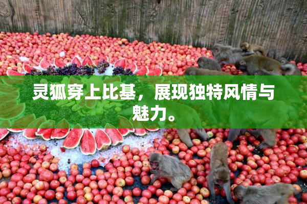 灵狐穿上比基，展现独特风情与魅力。