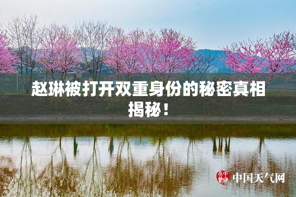 赵琳被打开双重身份的秘密真相揭秘！