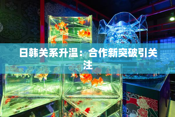 日韩关系升温：合作新突破引关注