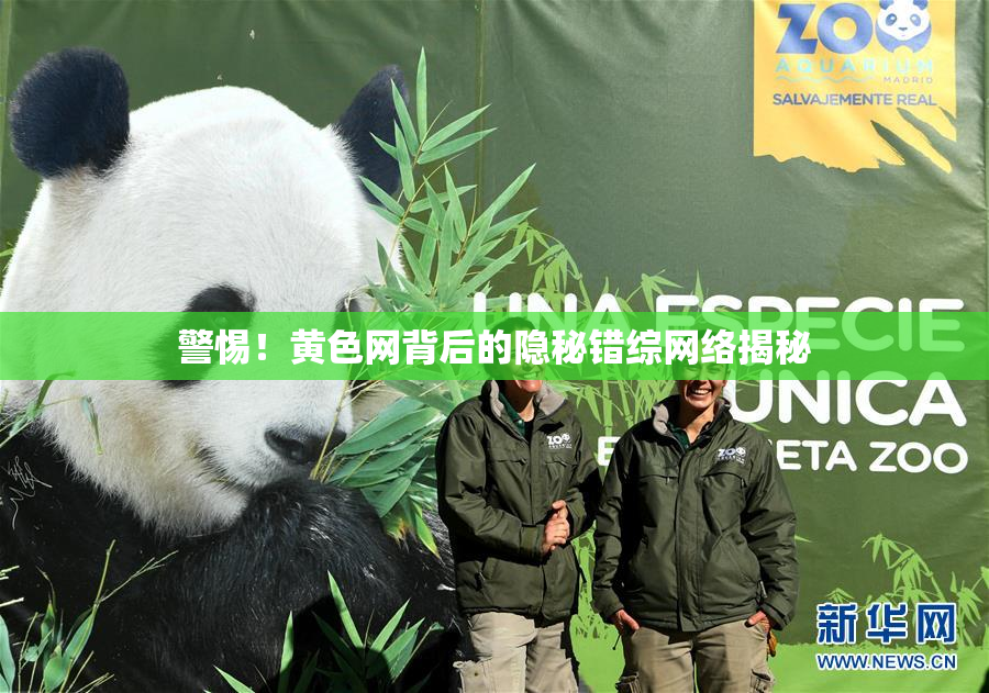 警惕！黄色网背后的隐秘错综网络揭秘