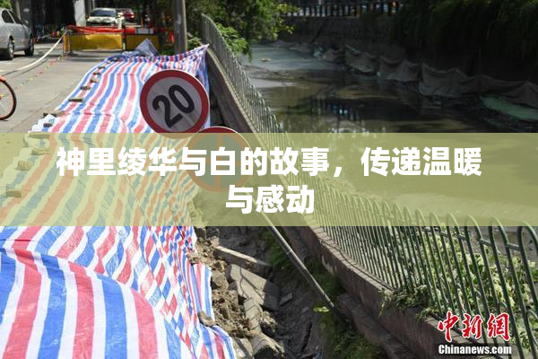 神里绫华与白的故事，传递温暖与感动