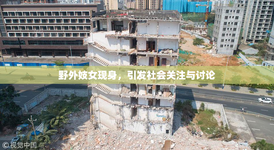 野外妓女现身，引发社会关注与讨论